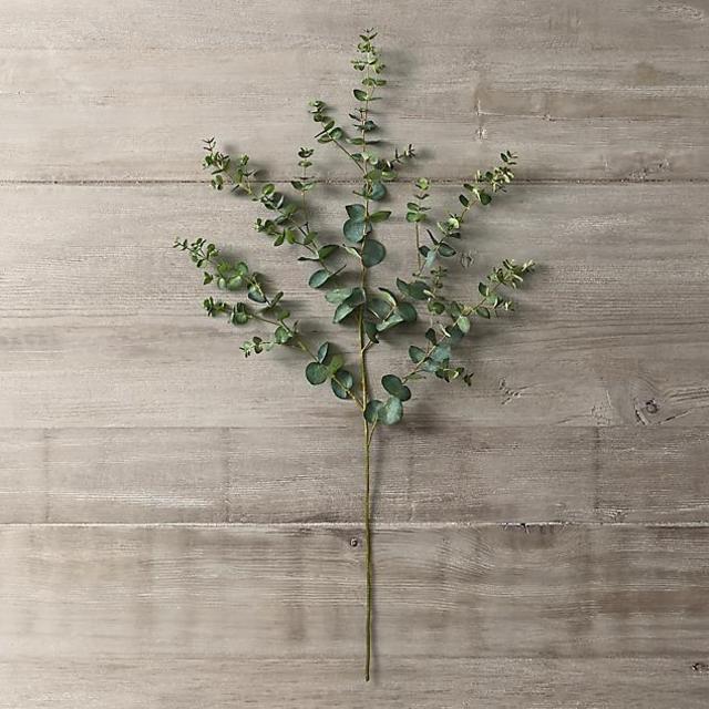 Faux Eucalyptus Branch