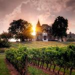 Niagara Wineries