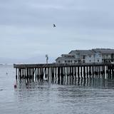 Sterns Wharf