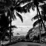 Kualoa Ranch