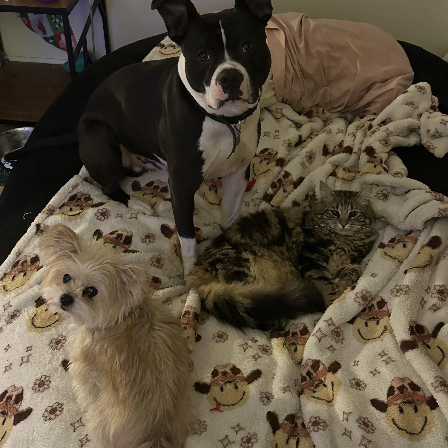 Our kiddos