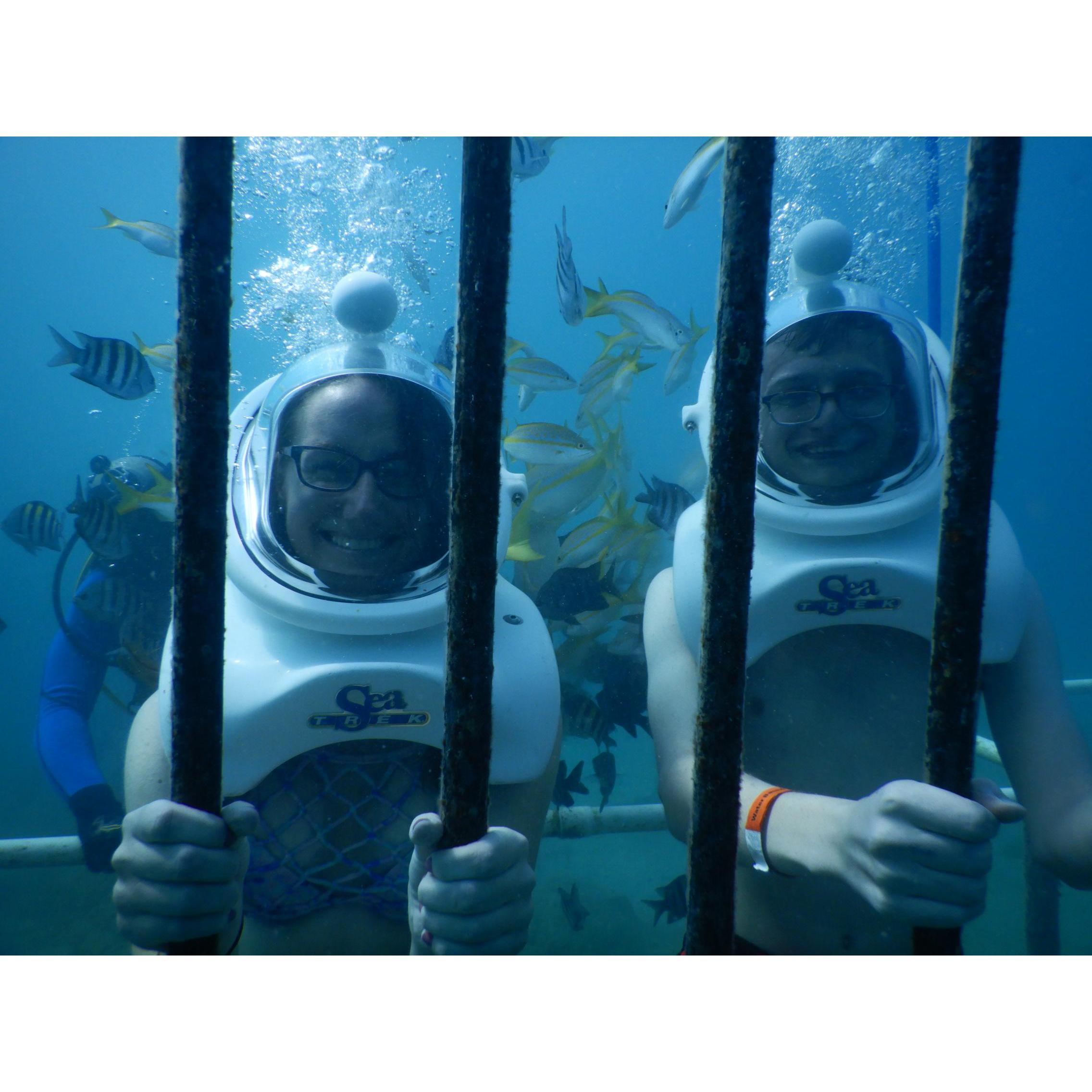 Sea Trek, Saint Maarten, 2019