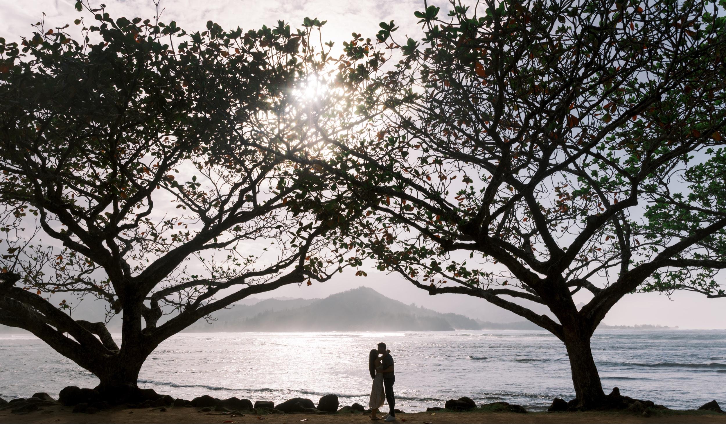 The Wedding Website of Sonali Mayer and Teddy Harding