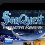 SeaQuest Utah