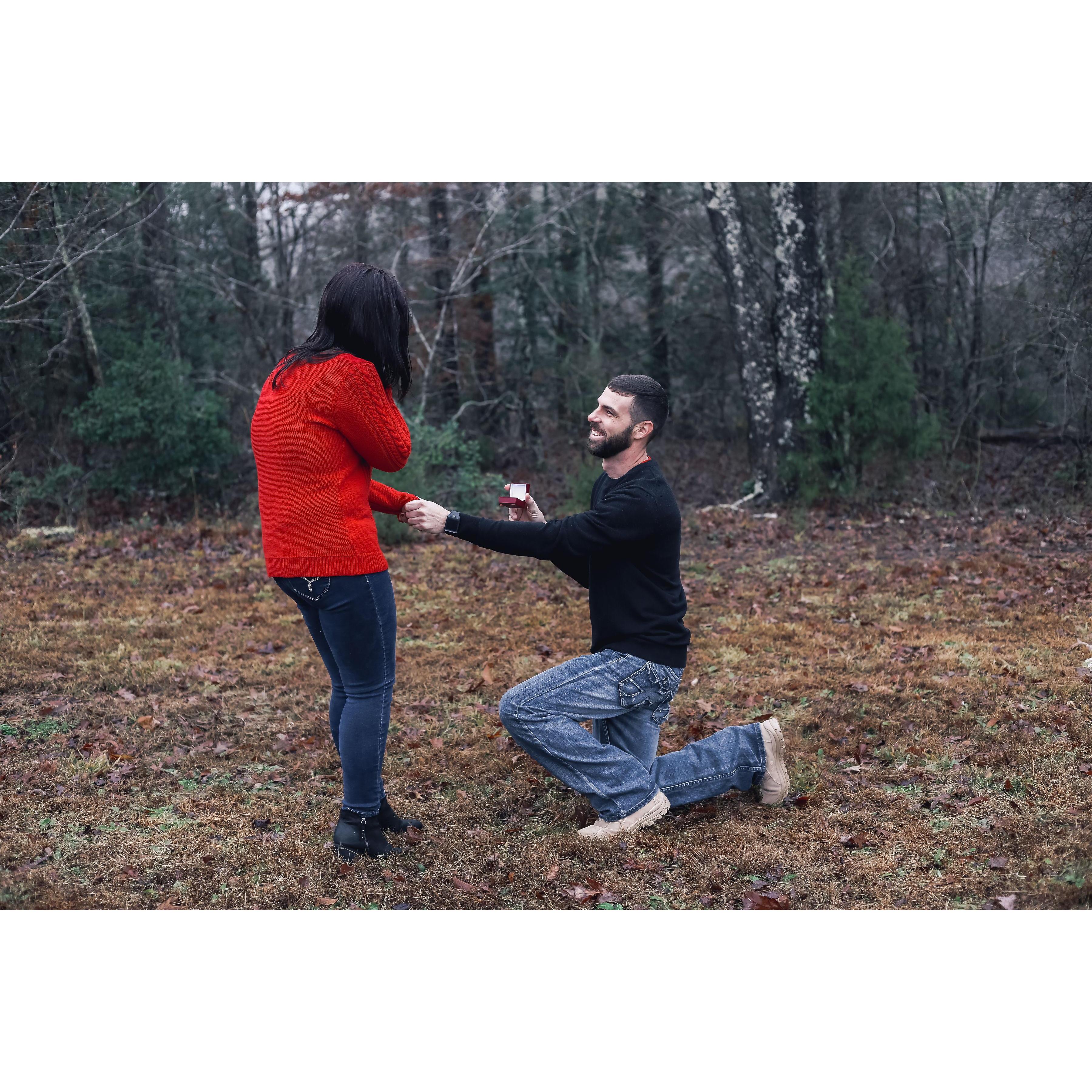 "Will You Marry Me?"