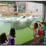 Henry Vilas Zoo