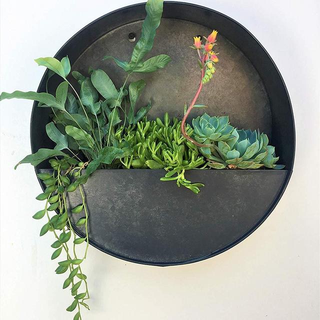 Round Hanging Wall Vase Planter for Succulents or Herbs - Beautiful Wall Decor for Air Plants, Faux Plants, Cacti and More, Dark Zinc Color - in Gift Box