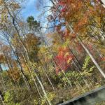 Ghost Walk of Gatlinburg