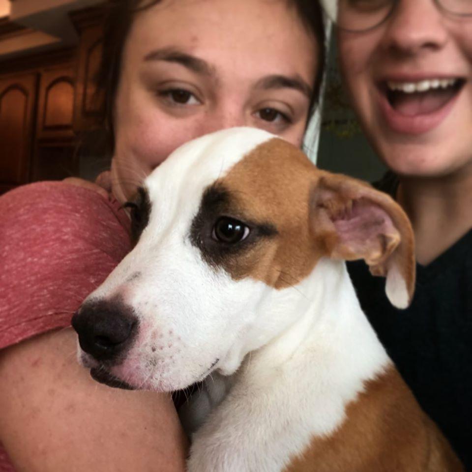 In July 2018, we found a stray dog and decided he would join our family. Meet Ray Charles.