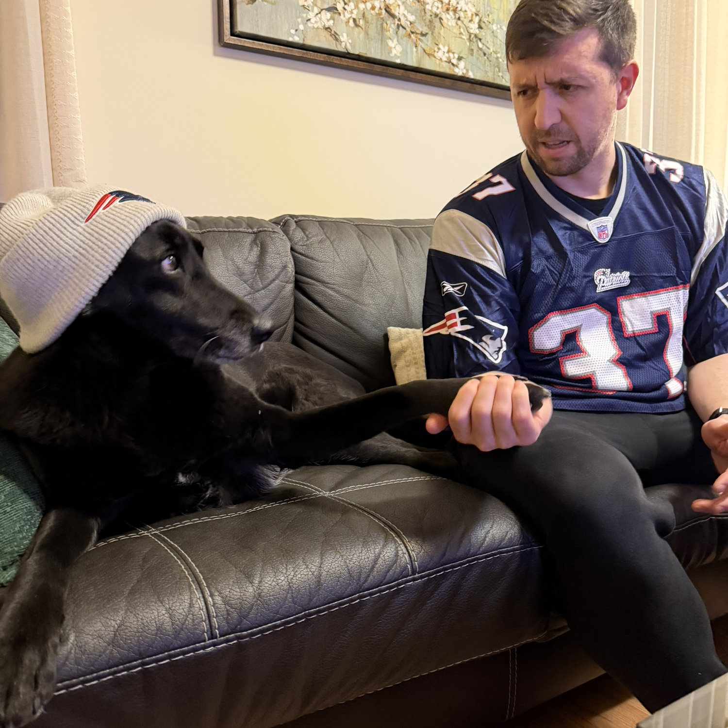 Superbowl 2026