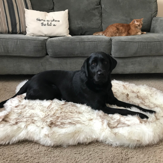 PupRug™ Faux Fur Orthopedic Dog Bed Curve White
