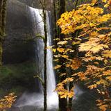 Silver Falls State Park