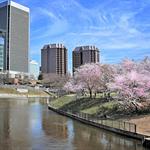 Brown's Island in Downtown Richmond