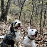 Rockwoods Reservation