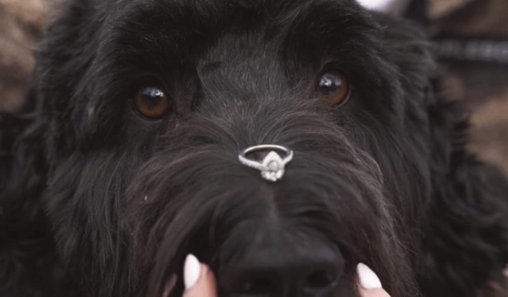 The Wedding Website of Matt Mumaw and Sarah Flanders