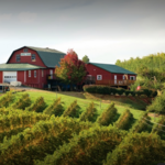 Carter Mountain Orchard and County Store
