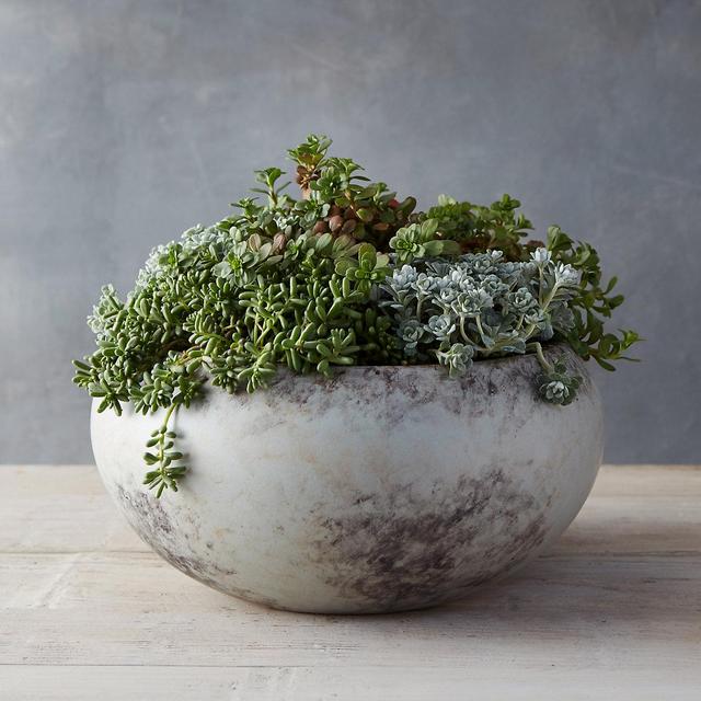 Eggshell Bowl Planter