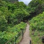 ʻIao Needle Lookout Trail and Ethnobotanical Loop