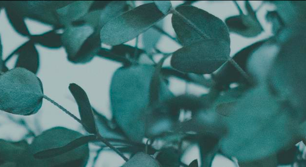 Footer image