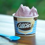 Abbott's Frozen Custard