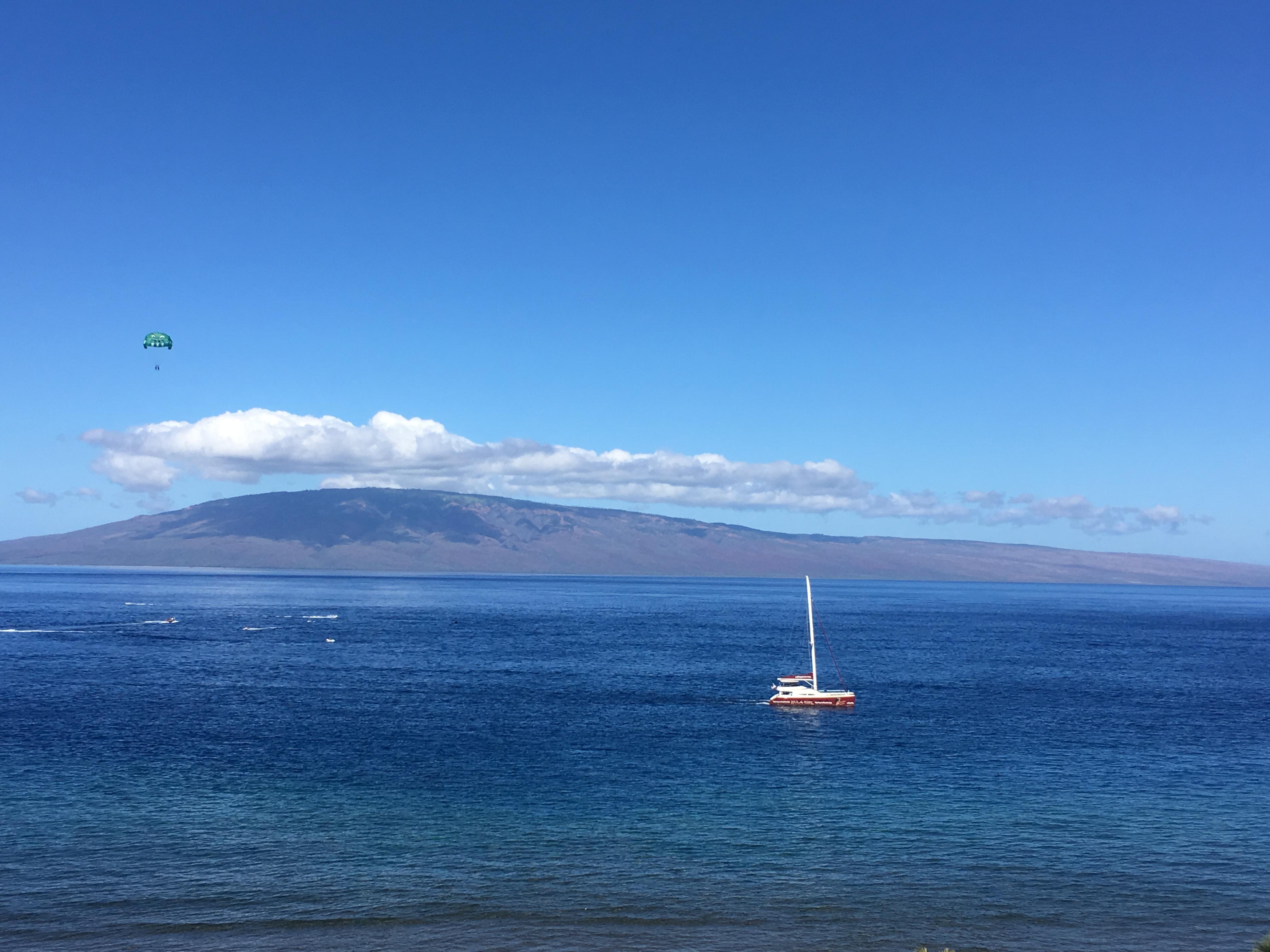 The Wedding Website of Stephanie Dowds and Shane Herzig