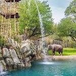 Fort Worth Zoo