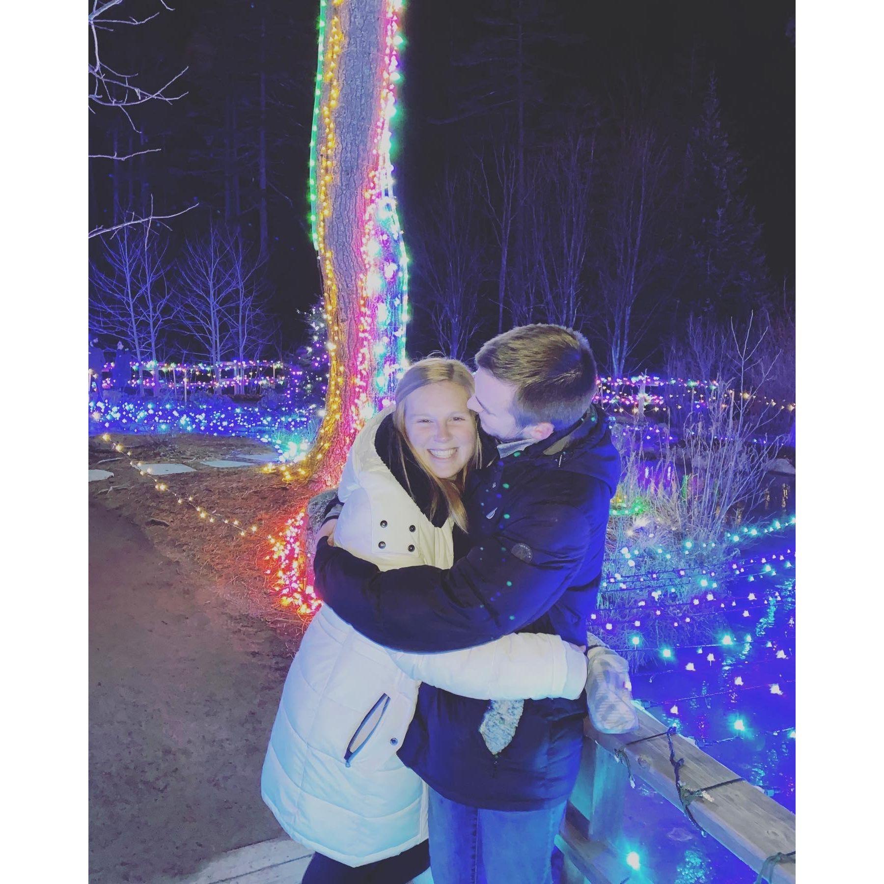 Lights Aglow at the Botanical Gardens