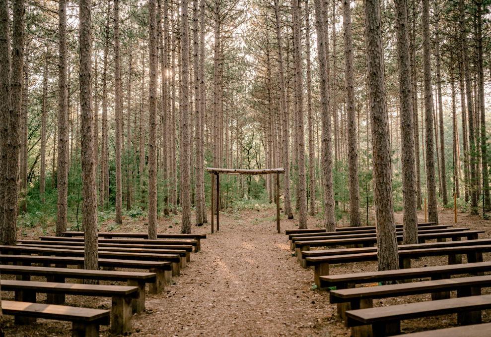 The Wedding Website of Shea Cunha and Sydney Berkeley