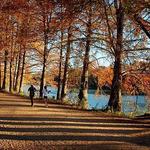 Lady Bird Lake Hike and Bike Trail