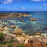 Sharks Cove