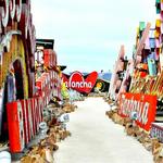 The Neon Museum