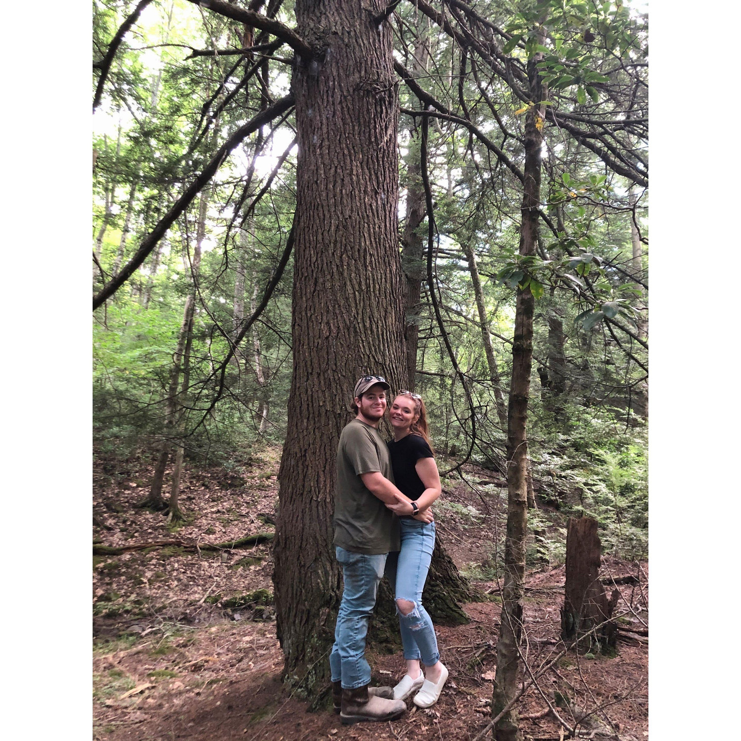 Eagle State Forest PA