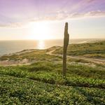 Golf 18 holes at Quivira Golf Club