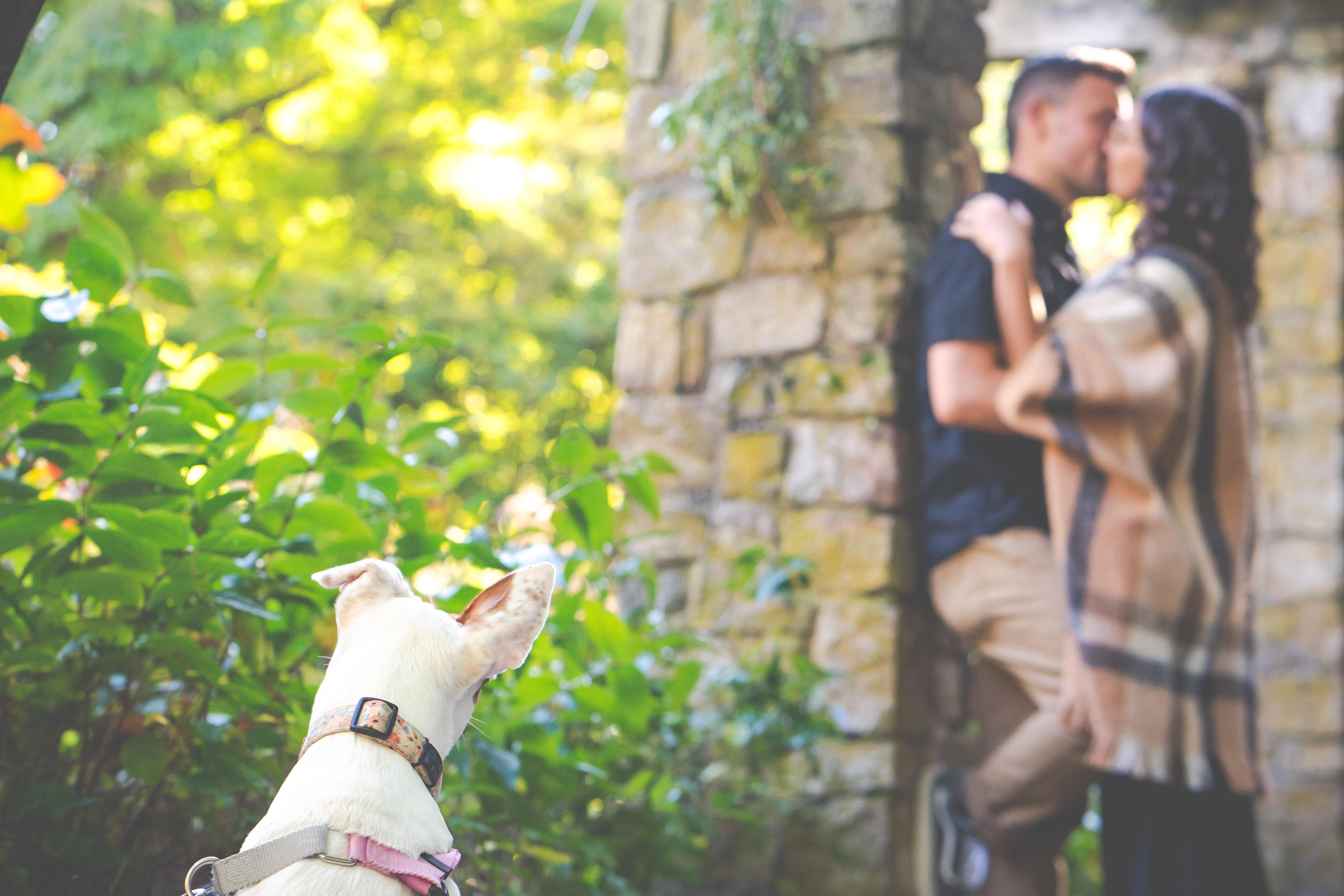 The Wedding Website of Nicole Cullen and Samuel Adams