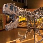 Cleveland Museum of Natural History