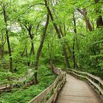 Fontenelle Forest