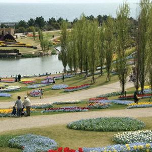 Awaji Island Exploration