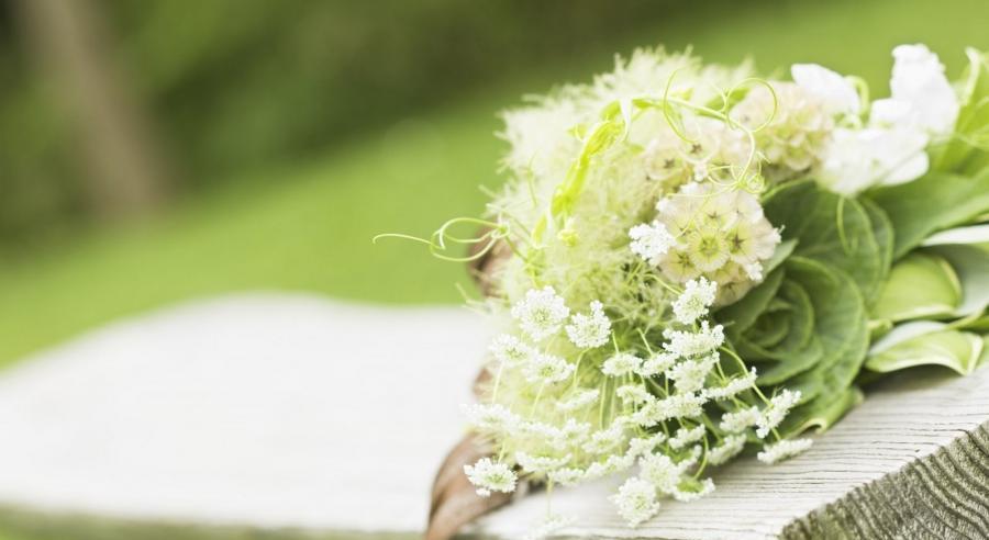 Footer image