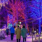 Lincoln Park Zoo Zoolights