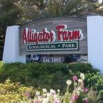 St. Augustine Alligator Farm Zoological Park