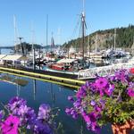 Deer Harbor Marina