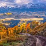 Last Dollar Road