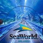 SeaWorld Orlando