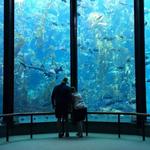 Monterey Bay Aquarium