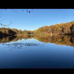 Rockefeller State Park Preserve