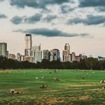 Zilker Park
