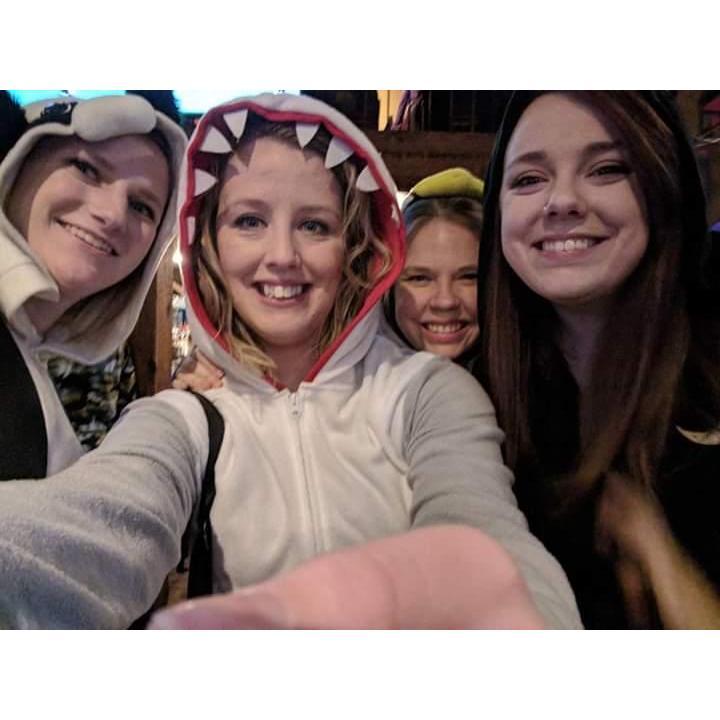 A cat, a penguin, a shark, and a panda