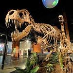 Houston Museum of Natural Science