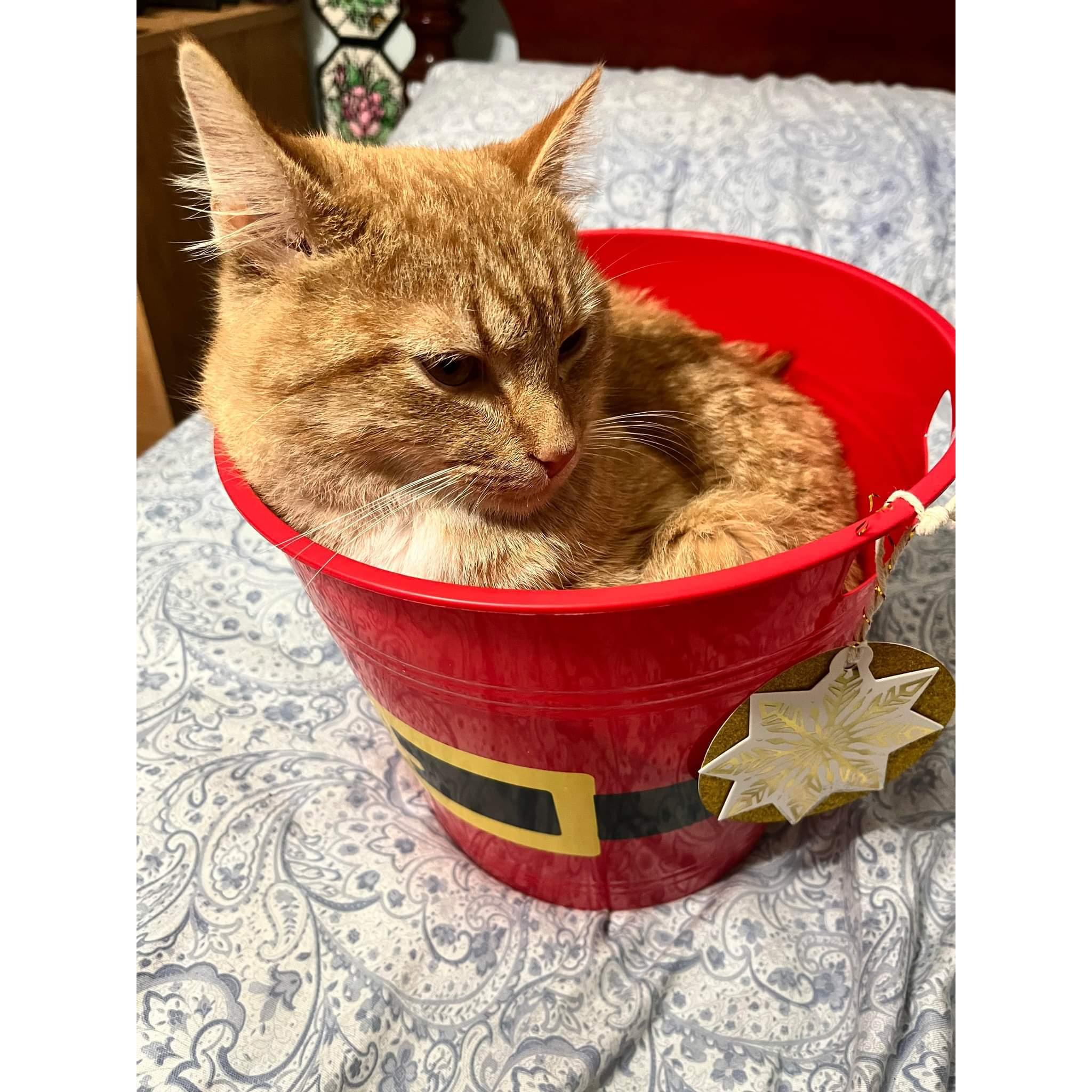 The best Christmas present to ourselves