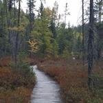 Hike at Almon County Park